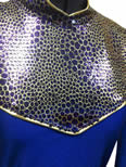 Puple with Sequin Yoke Shirt